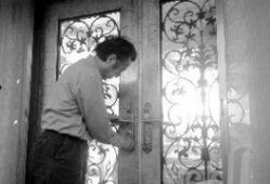 最新爆料杨先生完整版,最新爆料揭露惊人内幕