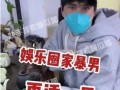 娱乐大瓜爆料家暴男,家暴男生身份曝光，真相令人震惊
